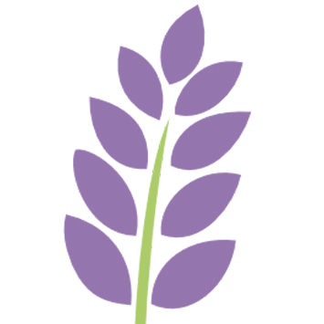 薰衣草