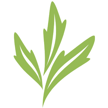艾草